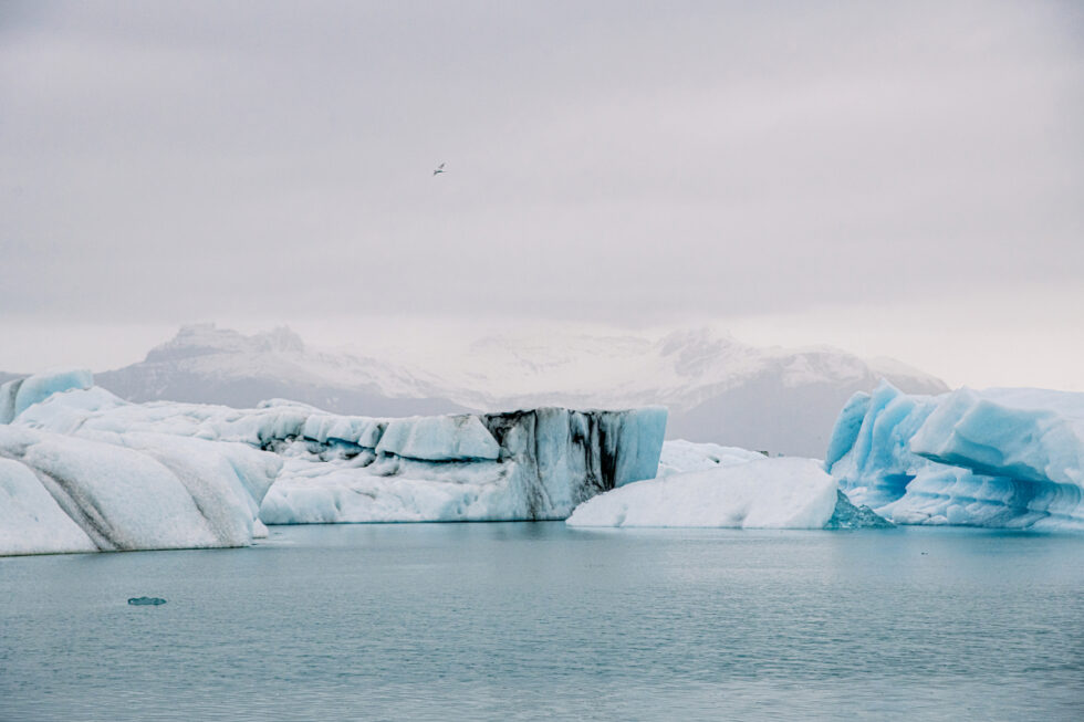 Iceland icebergs